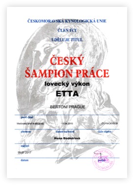 Bayetty-MOK-Madarsky-ohar-kratkosrsty-Praha-4